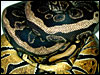 Anerythristic Ball Python with normal