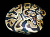 Labyrinth Jungle Ball Python